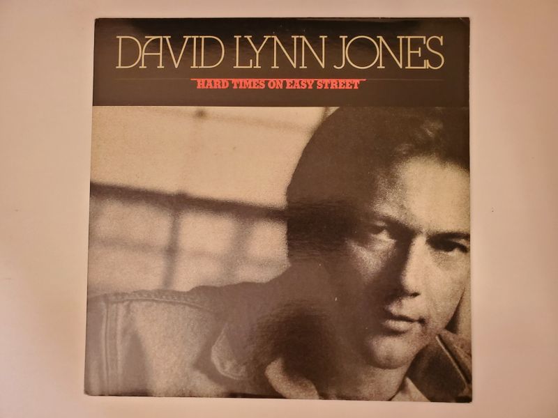 David Lynn Jones Hard Times on Easy Street vinyl record
